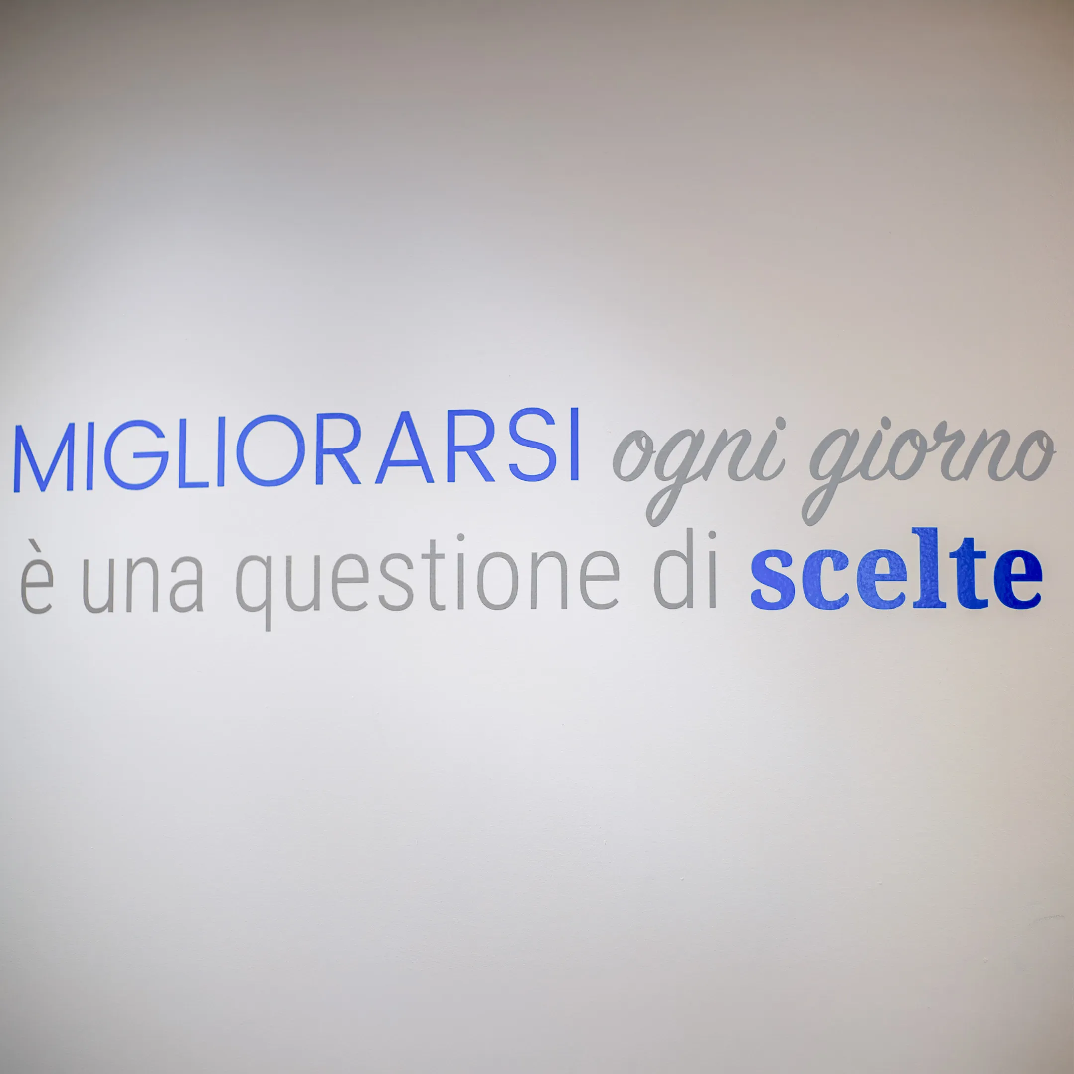 Studio Fiorile 2024-2